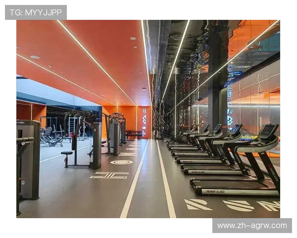 高端健身器材定制服务商助力商业健身房升级
