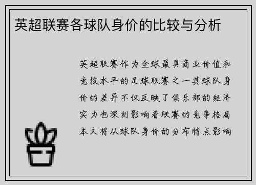 英超联赛各球队身价的比较与分析